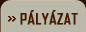 pályázat